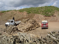  quite a pile of elm (between the two vehicles) which has been collected in the last 4 weekends